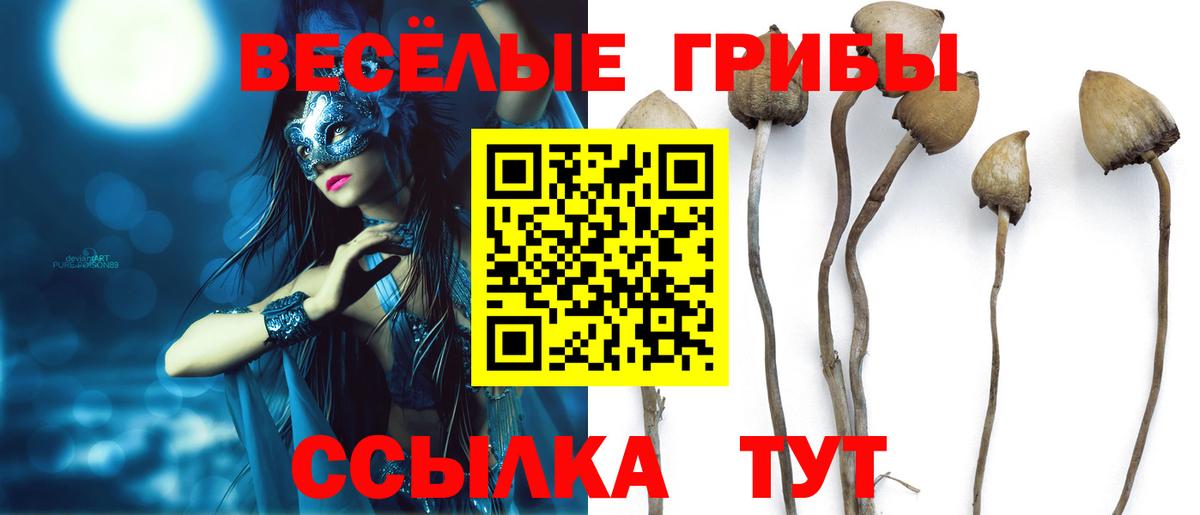 Галлюциногенные грибы прущие грибы Кызыл