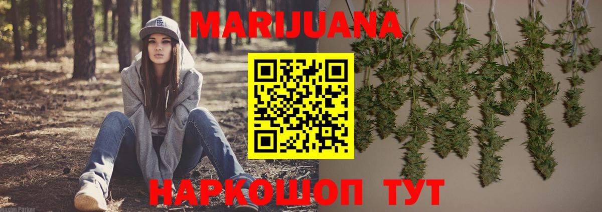 Марихуана план  Шишки марихуана Ganja  Бошки марихуана Bruce Banner  Вход с VPN  Конопля VHQ  Кызыл 